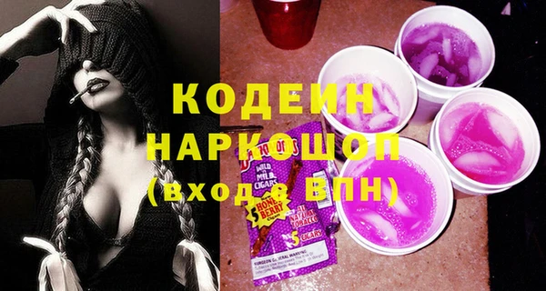 молекула духа Медвежьегорск