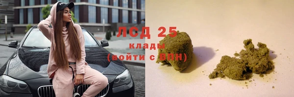 молекула духа Медвежьегорск