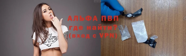 молекула духа Медвежьегорск