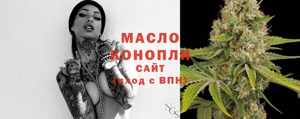 молекула духа Медвежьегорск