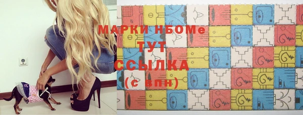 стаф Магас